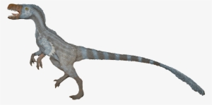 Velociraptor Transparent Images Png - Velociraptor Mongoliensis Png