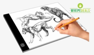 Led Light Pad