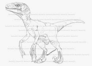 Non-feather Raptor - Sketch