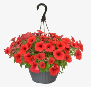 Spring Flowers Ahanging Flowers Png - Hanging Flower Basket Png