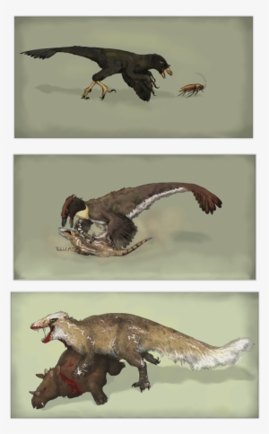 Download Deviantart Dromaeosaur Clipart Velociraptor - Dinosaur