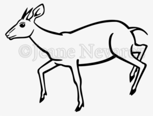 Art By Jeane Nevarez - Duiker Vector