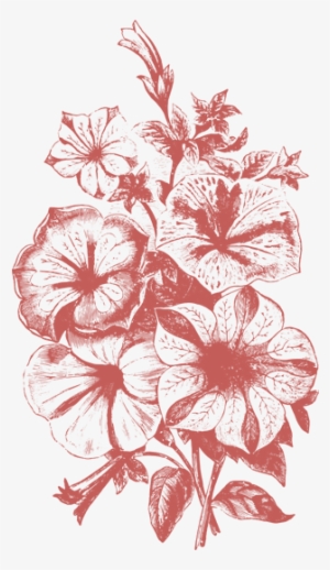 Png Free Library Plant Flower Illustrations Vol Png - Flowers Illustration Vector Png