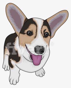 Pembroke Welsh Corgi