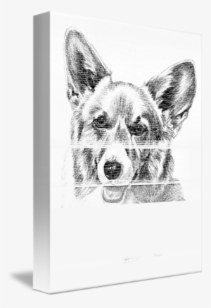 Drawn Corgi Transparent - Drawing