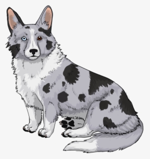 Blue Merle Corgi By Japhleti On Deviantart - Dog
