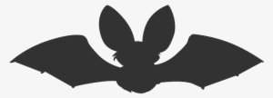 Bat, Animal, Dark, Flying, Night, Scary, Silhouette - Pipistrelle Gillian Clarke