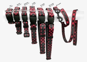 Dog Collar Comparison Multiple Sizes - Carabiner