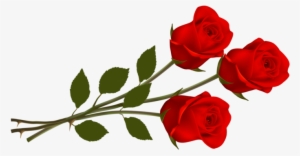 Rosas En Png - Thank You Rose Flowers