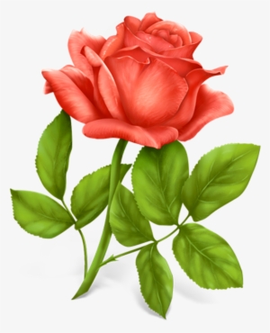 Red Roses Png Clipart Picture Only Roses Pinterest - Best Wishes Happy Married Life