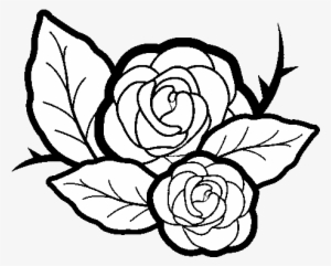 Dibujo De Dos Rosas Para Colorear - Desenho De Duas Rosas