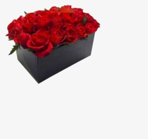 Caja De Rosas - Garden Roses