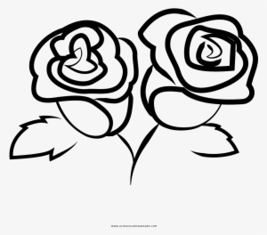 Dibujo De Rosas Para Colorear - Frida Restaurant Springfield Mo