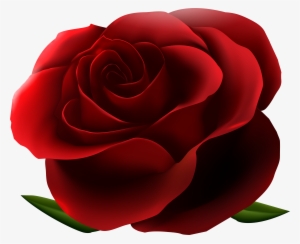 Clipart Resolution 6486*5375 - Png Format Red Rose Png