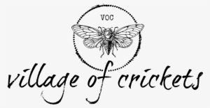 Small Points Of Light