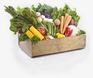 Fruits And Veggies - Vegetable