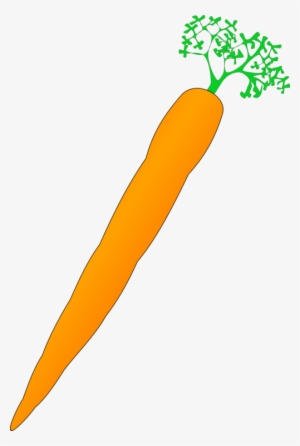 Carrot Nose Vegetable Drawing Computer Icons Free Commercial - Cartoon Carrot Transparent Background