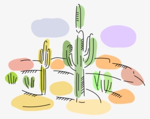 Desert Cactus Plant In Sonoran Desert - Desert