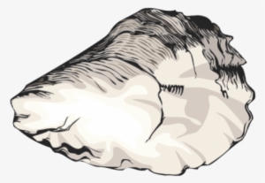 Hard To Find Clip Art Of Crustaceans Shellfish And - Oyster Shell Clip Art