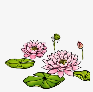 Clipart Transparent Library Watercolor Painting Illustration - 荷花 卡通