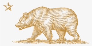 Our California Appellations - California Bear No Background