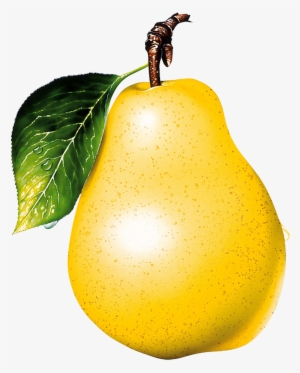 Fruit Yellow Pear