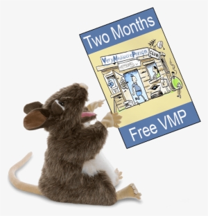 Too Late It's Over - Mouse