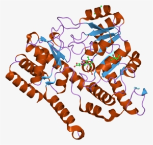 Pdb 2vmp Ebi - Graphic Design