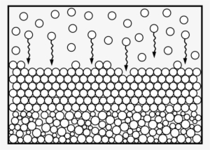 This Is My Phd Thesis, Today It Is Exactly 12 Years - 5分袖シャツ(18ss)