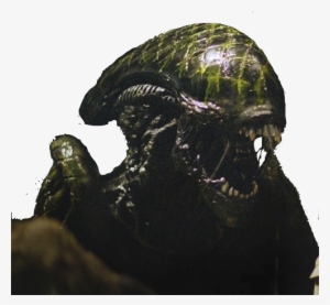 Xenomorph Grid - Alien Vs Predator 3