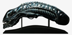 Alien - Alien Warrior Life-size Head Aliens Prop Replica