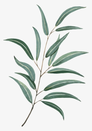 Svg Free Library Leaf Watercolor Painting Leaves - Watercolor Leaf