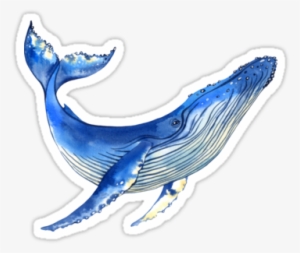 Quot Watercolor Whale Quot Stickers By Evgeniia Zagreeva - Whale Sticker