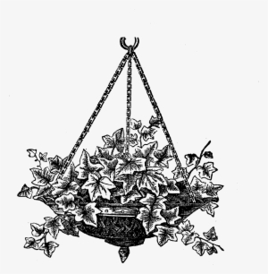 This Is A Wonderfully Detailed Digital Image Transfer - Hanging Fern Clipart Black And White