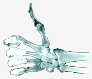 Skeleton Hand Thumbs Up