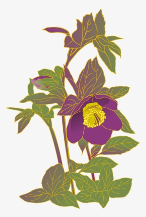 Christrosen Png