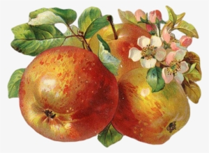 Http - //img-fotki - Yandex - Ru/get/5109/ - World Wide Web