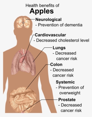 Health Benefits Of Apples - Benefit Of An Apple