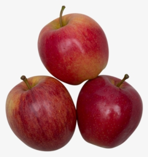 Apple - Akkomdrev Zao