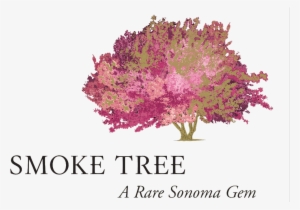 Smoke-tree Logo - Smoke Tree - Chardonnay 2015 (750ml)