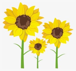 Common Clip Art Transprent Png Free Download - Sunflower Class Clipart