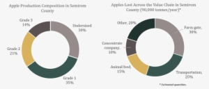 Current Composition Of Apples - Manchester Creative Studio