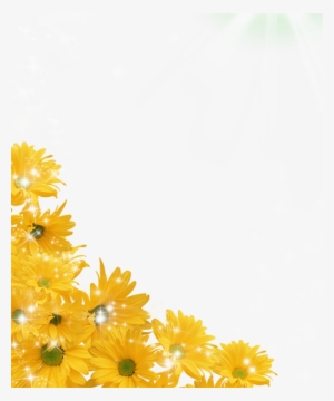 Free Library Sunflower Png Pictures Free Icons And - Sunflower Border Transparent Background