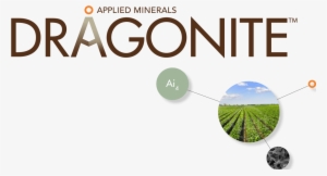 Dragonite Product Name Branding For The Technology - Oregon Ballet Theater Logo