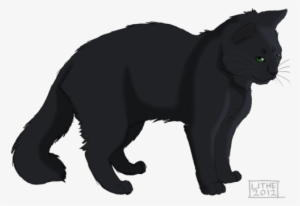 Hollyleaf Lithestep