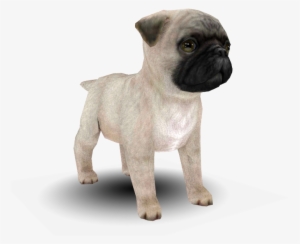 Download Zip Archive - Nintendogs + Cats