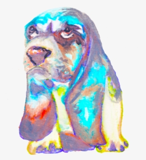 George - Companion Dog