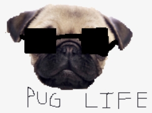 Pug Life Png Clipart - Pug Life Png