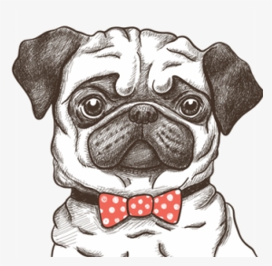 Hug A Pug Coloring Book For Adults: Much Loved Dogs