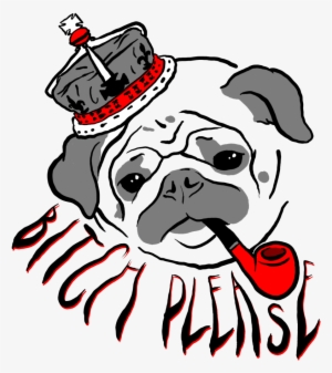 Background Png Free Hd Background Transparent Image Page 6 Pngkit - derpy pugs roblox